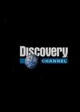 Discovery-����ٴ��ֺ���