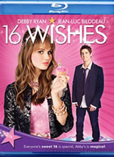 ʮ����Ը��(16 Wishes)����