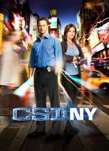 �����ֳ�����ŦԼƪ��7��(CSI: NY Season 7)����