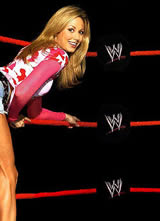 WWE������ ���߼�����