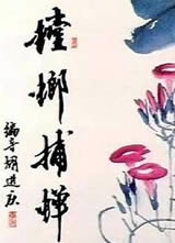 ��벶������