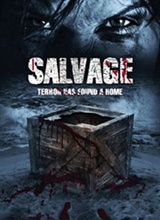 ���� Salvo����