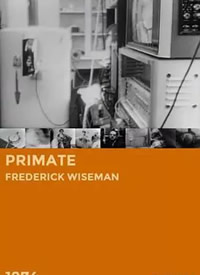 �鳤�� Primate����