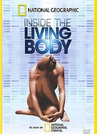 ���������к���