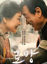 ���루2019������