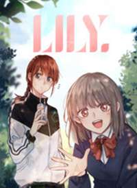 Lily����