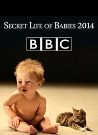 Ӥ�������������