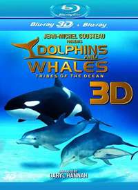����;���3D����