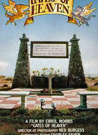 ����֮��1978����