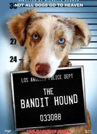 ��Ȯǿ������